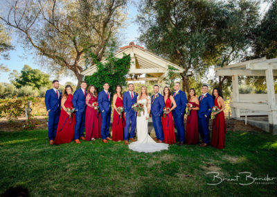red blue color scheme for bride and groom